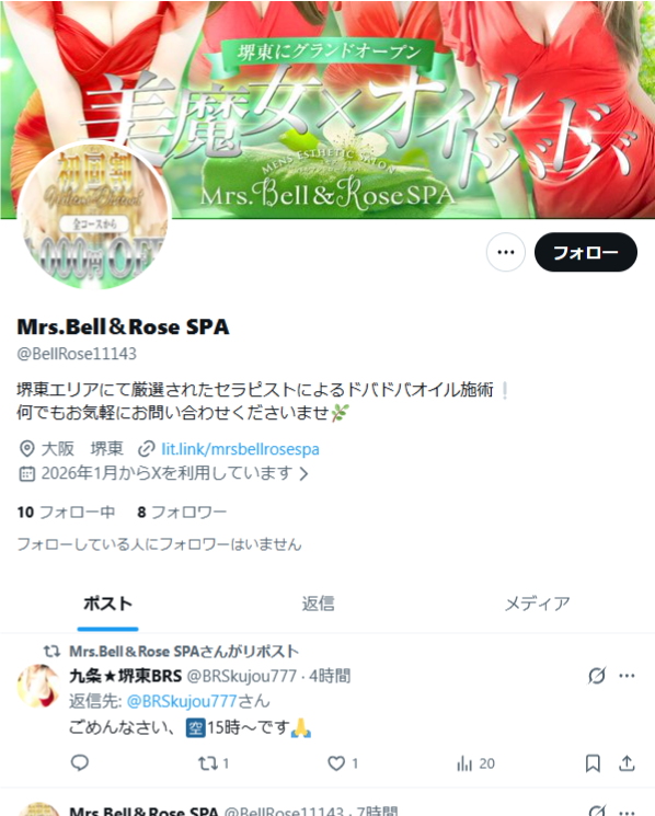 公式X